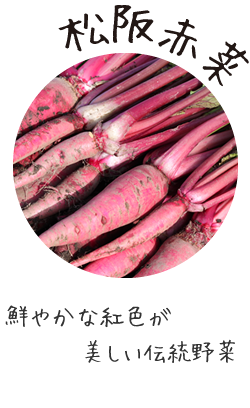 松阪赤菜