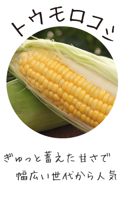 トウモロコシ