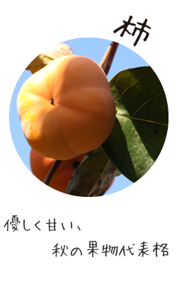 柿