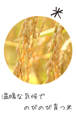 米
