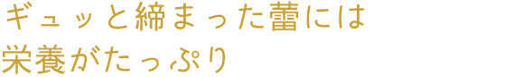 ギュッと締まった蕾には栄養がたっぷり