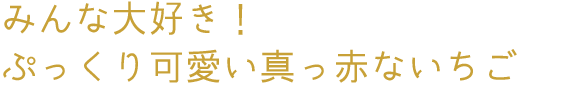 みんな大好き！ぷっくり可愛い真っ赤ないちご