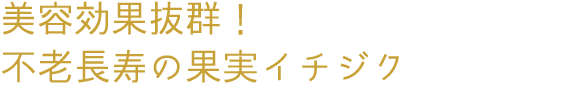 美容効果抜群！ 不老長寿の果実イチジク