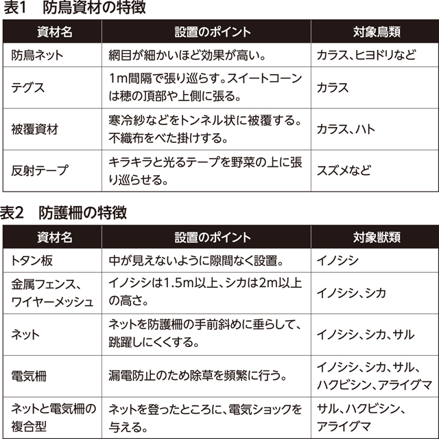 楽しく家庭菜園