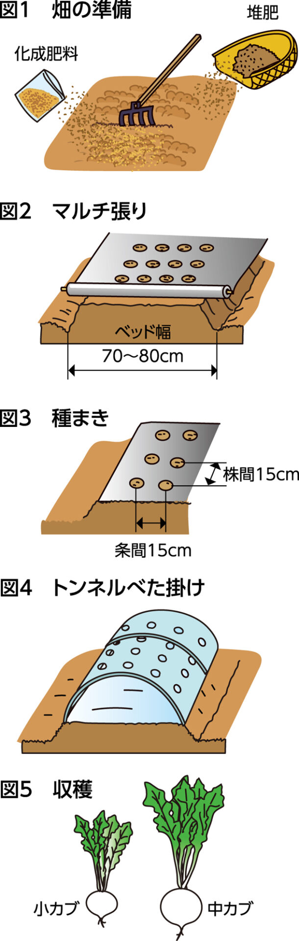 楽しく家庭菜園