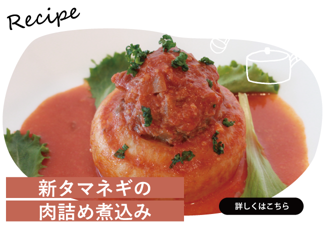 新タマネギの肉詰め煮込み