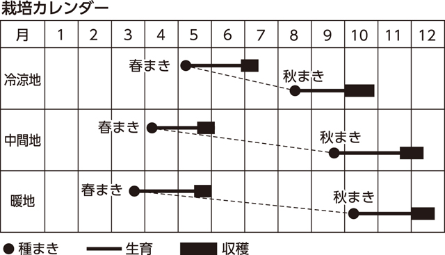 楽しく家庭菜園