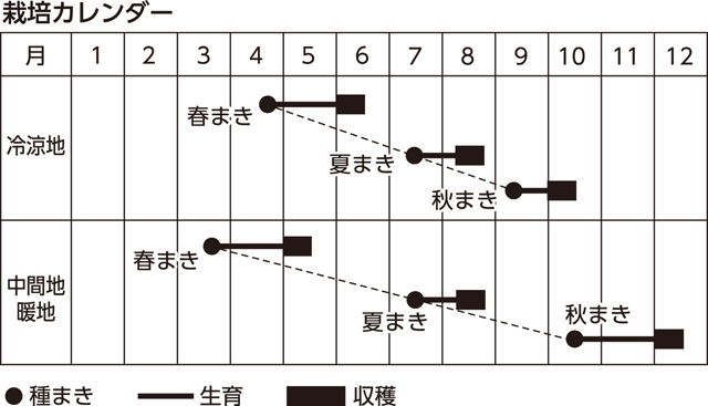 楽しく家庭菜園