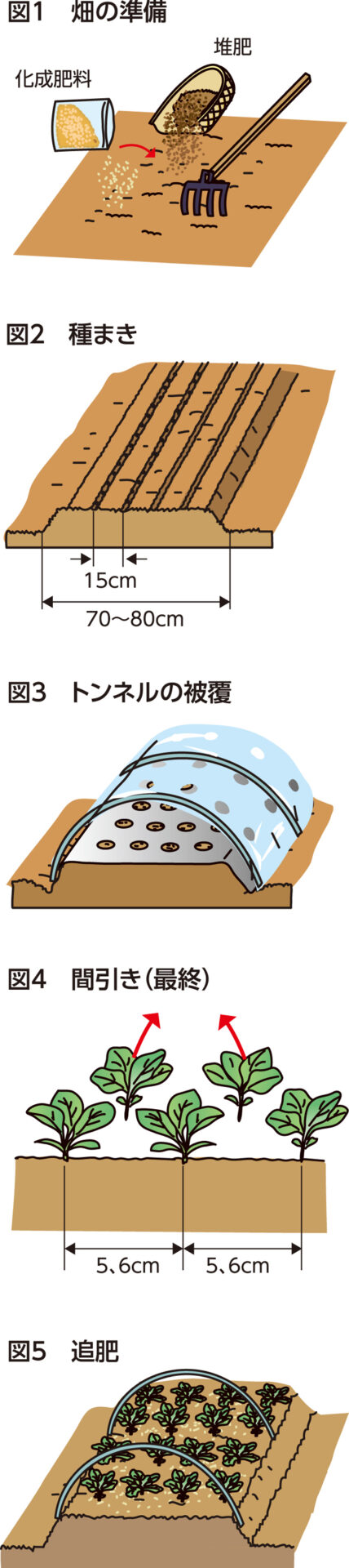 楽しく家庭菜園