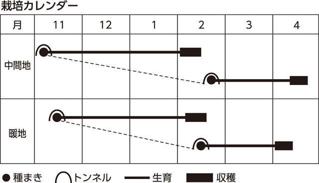 楽しく家庭菜園