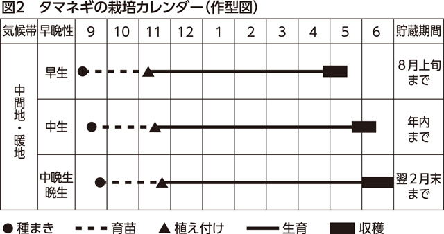 楽しく家庭菜園