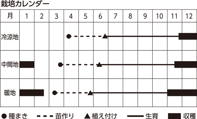 楽しく家庭菜園