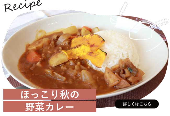 ほっこり秋の野菜カレー