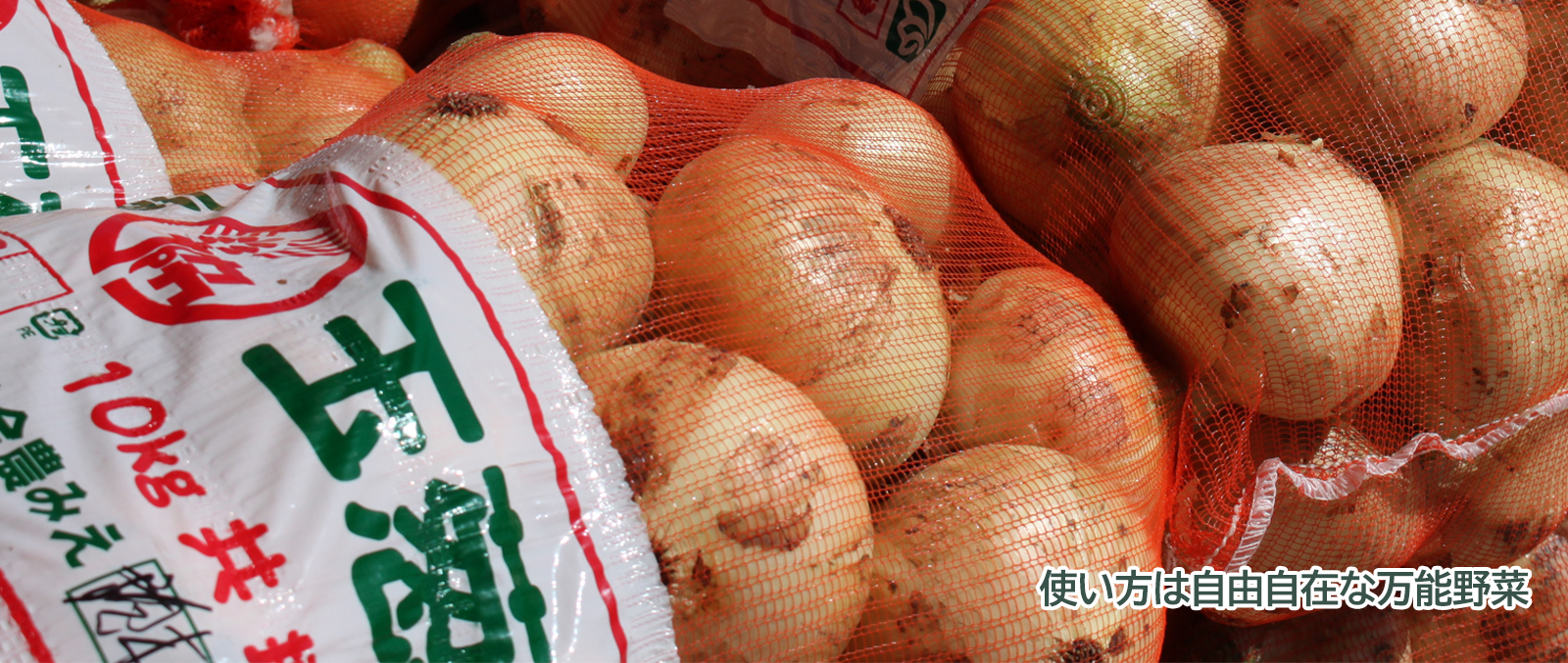 旬の農産物「たまねぎ」