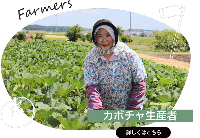 2024年7月　カボチャ生産者