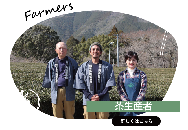 2025年5月　茶生産者