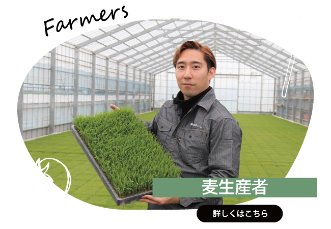 2025年6月　麦生産者