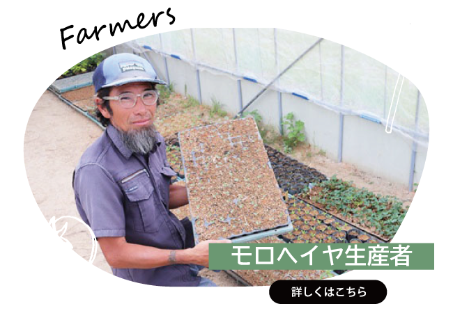 2025年7月　モロヘイヤ生産者