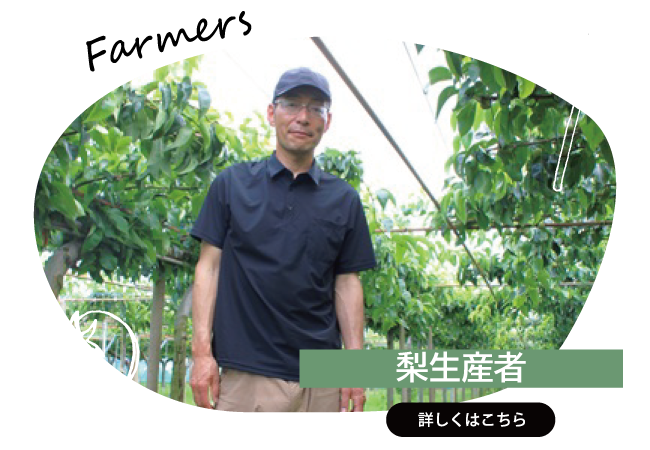 2025年8月　梨生産者