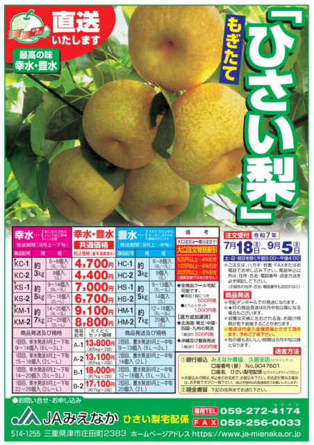 ひさい梨チラシ