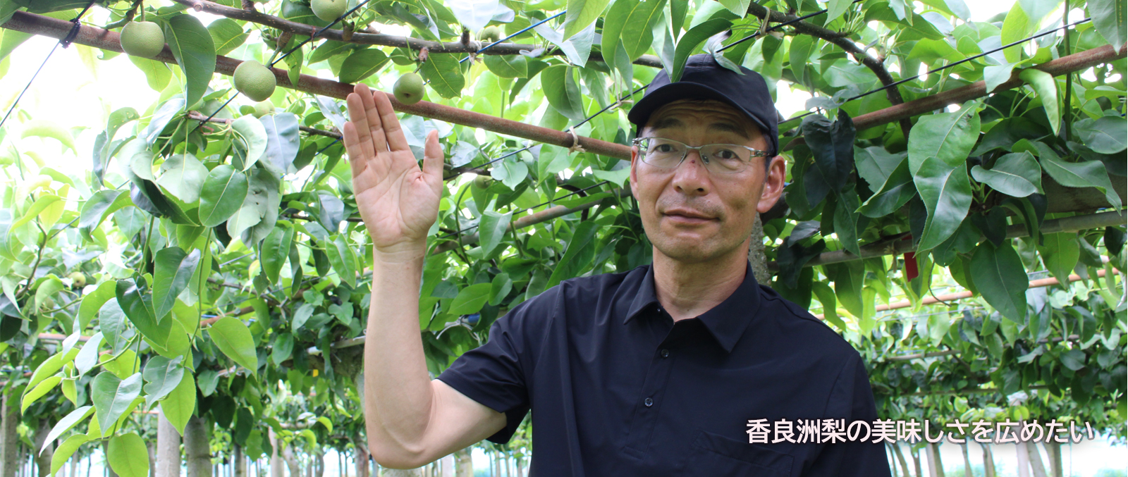 生産者紹介