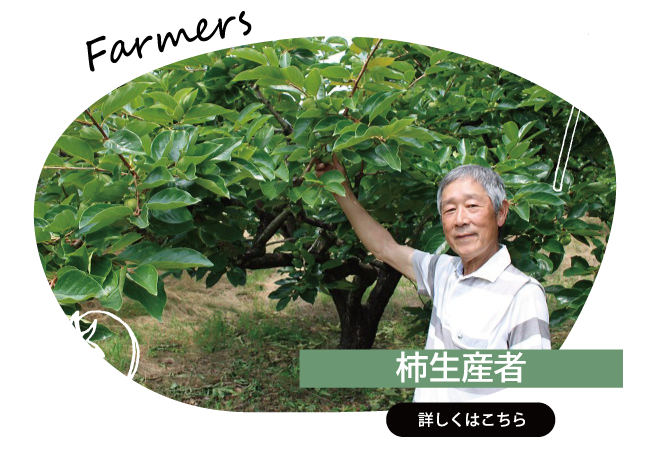 2025年9月　柿生産者