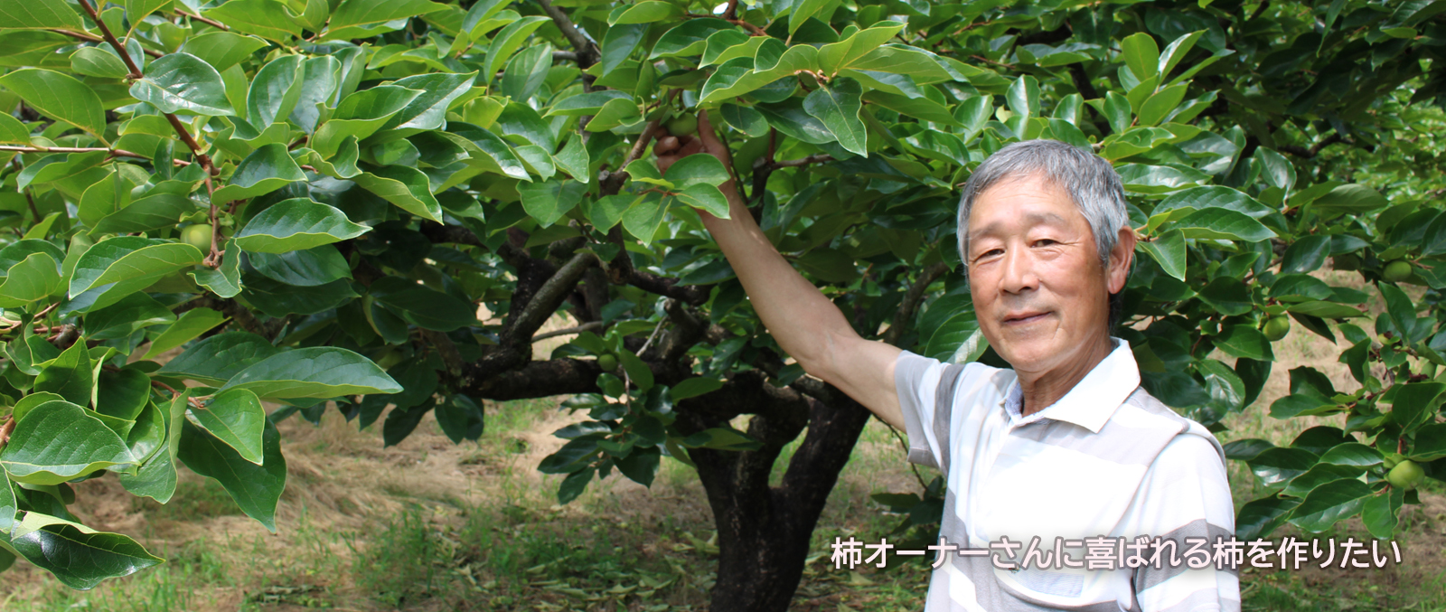 生産者紹介