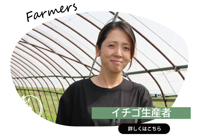 2025年12月　イチゴ生産者