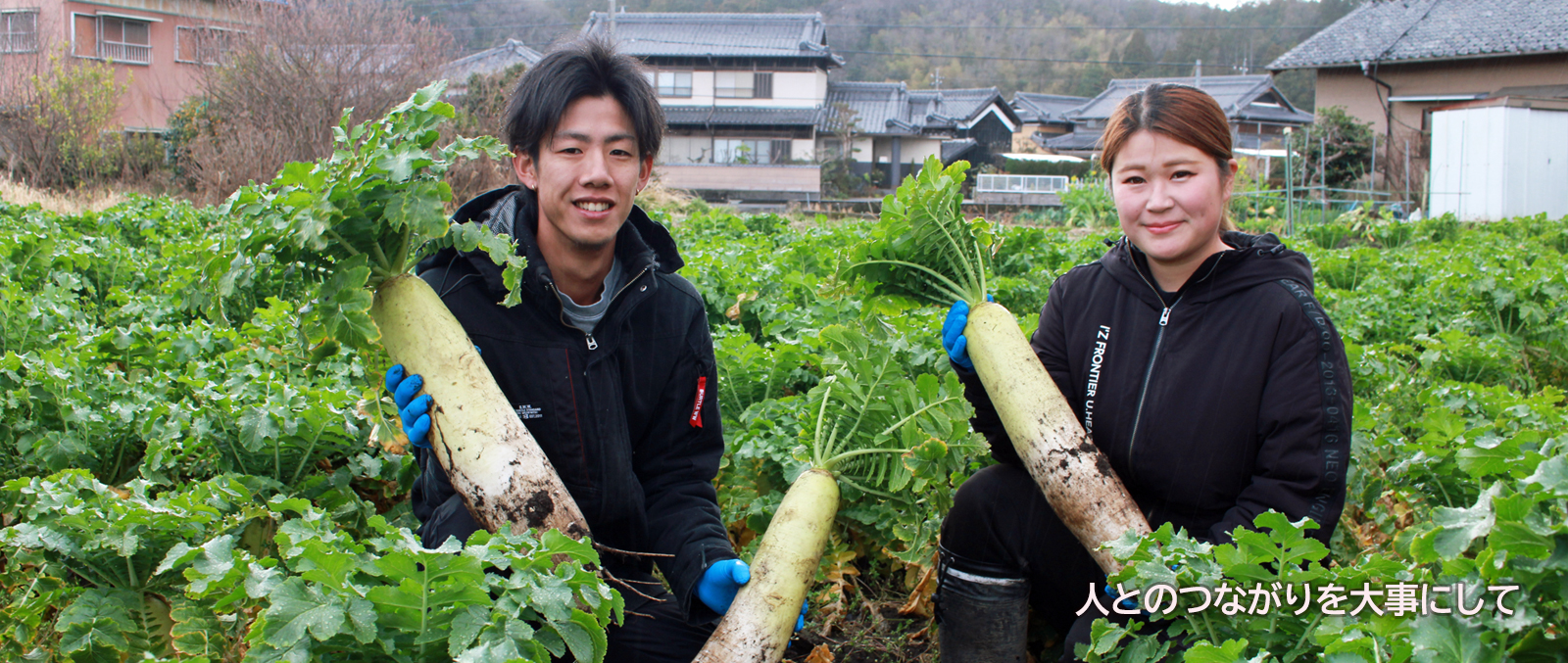 旬の野菜生産者