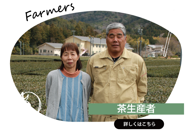 2026年5月　茶生産者