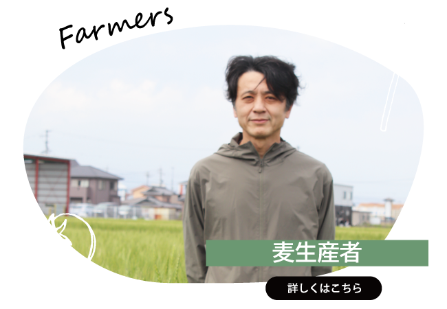 2026年6月　麦生産者