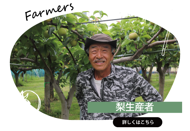 2026年8月　梨生産者