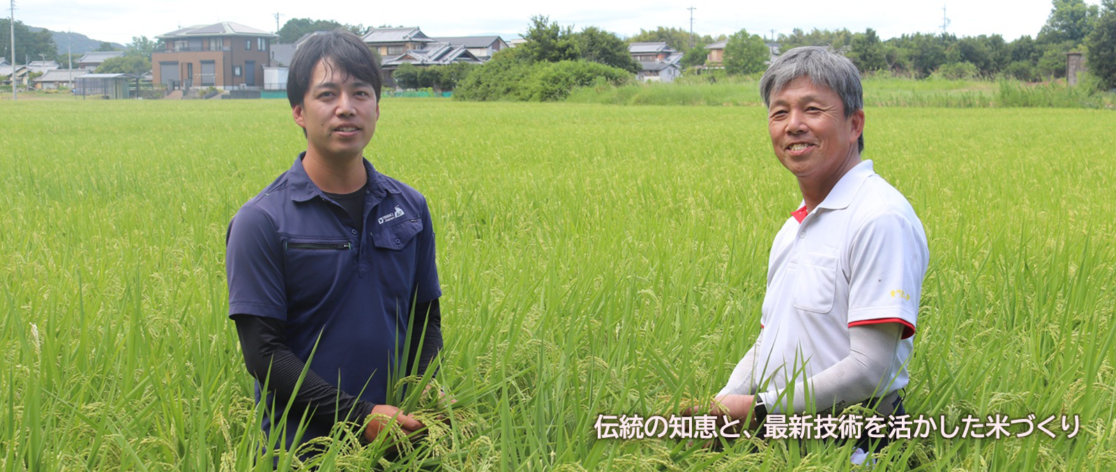 米生産者